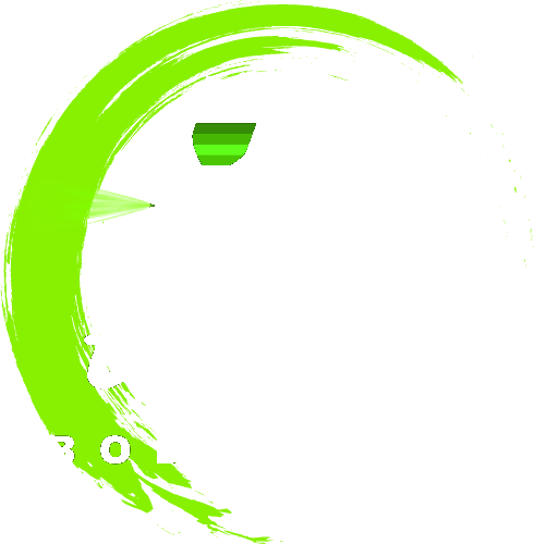 Tampa Body Shop